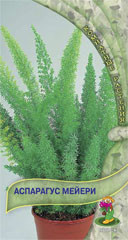Аспарагус Мейери 3шт