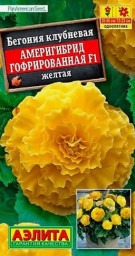 Бегония Америгибрид F1 желтая гофрированная 5шт Аэлита цветы
