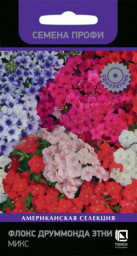 Флокс друммонда Этни Микс 10шт ПЦцп