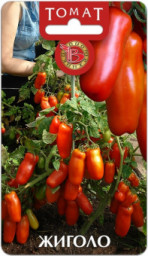 Томат Жиголо 20шт Б/техн